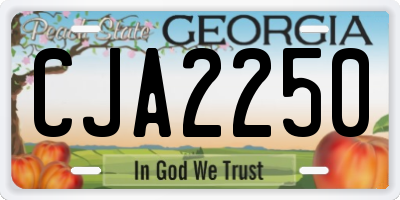GA license plate CJA2250