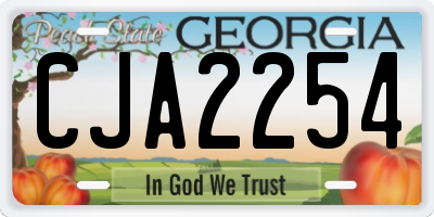 GA license plate CJA2254