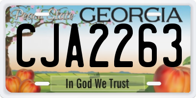 GA license plate CJA2263