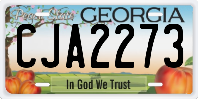 GA license plate CJA2273