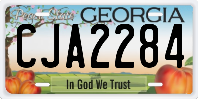GA license plate CJA2284
