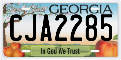 GA license plate CJA2285