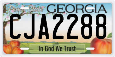 GA license plate CJA2288