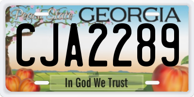 GA license plate CJA2289