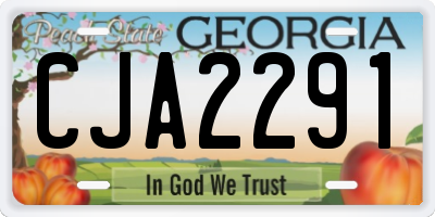 GA license plate CJA2291