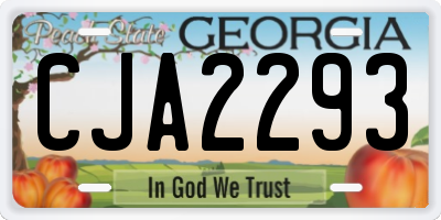 GA license plate CJA2293