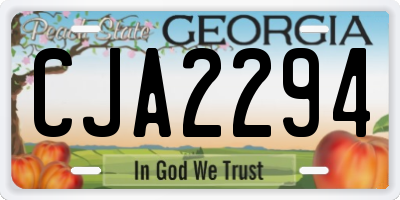 GA license plate CJA2294