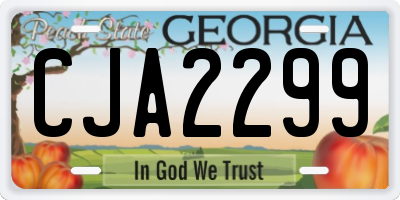 GA license plate CJA2299