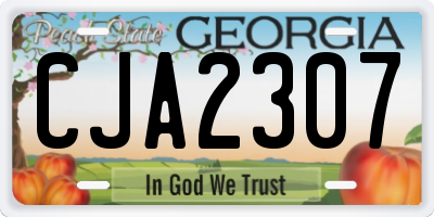 GA license plate CJA2307