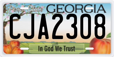 GA license plate CJA2308