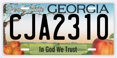 GA license plate CJA2310