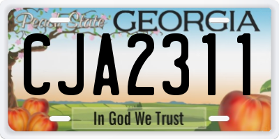 GA license plate CJA2311