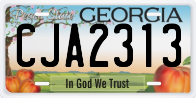 GA license plate CJA2313