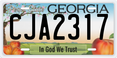 GA license plate CJA2317
