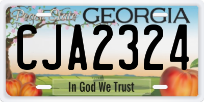 GA license plate CJA2324