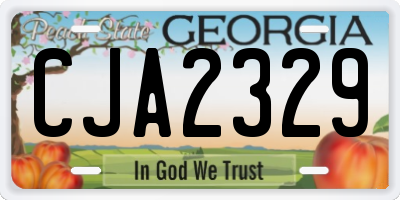 GA license plate CJA2329