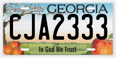 GA license plate CJA2333