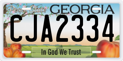 GA license plate CJA2334