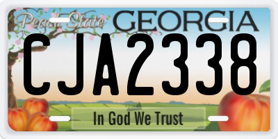 GA license plate CJA2338