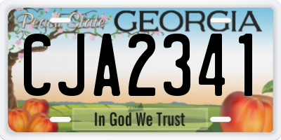 GA license plate CJA2341