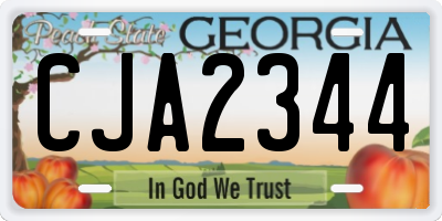 GA license plate CJA2344