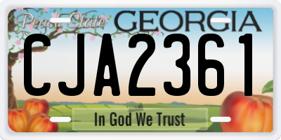 GA license plate CJA2361