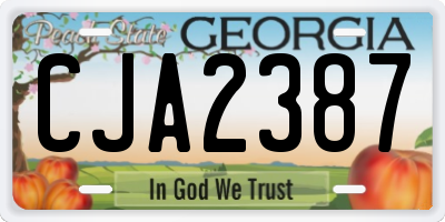 GA license plate CJA2387