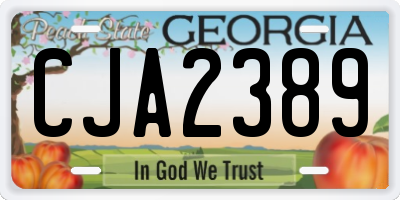 GA license plate CJA2389