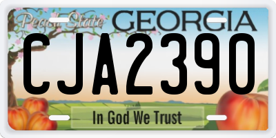 GA license plate CJA2390