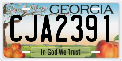 GA license plate CJA2391