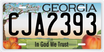 GA license plate CJA2393