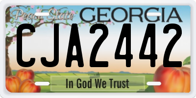 GA license plate CJA2442