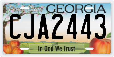 GA license plate CJA2443
