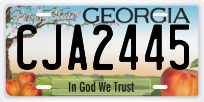 GA license plate CJA2445