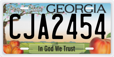 GA license plate CJA2454