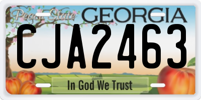 GA license plate CJA2463