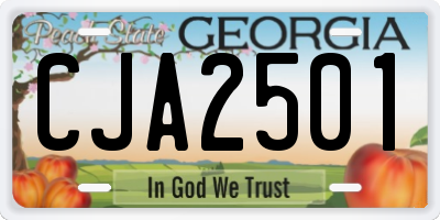 GA license plate CJA2501