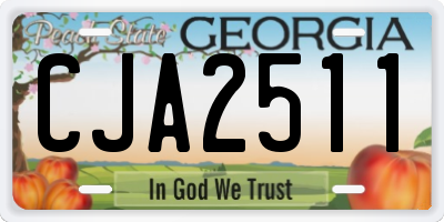 GA license plate CJA2511