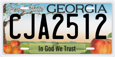 GA license plate CJA2512