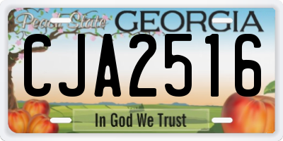 GA license plate CJA2516