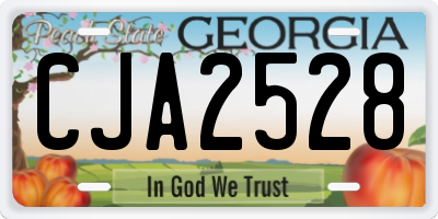 GA license plate CJA2528