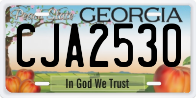 GA license plate CJA2530