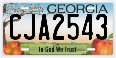 GA license plate CJA2543