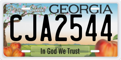 GA license plate CJA2544
