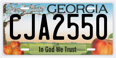 GA license plate CJA2550