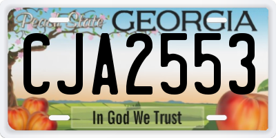 GA license plate CJA2553