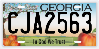 GA license plate CJA2563