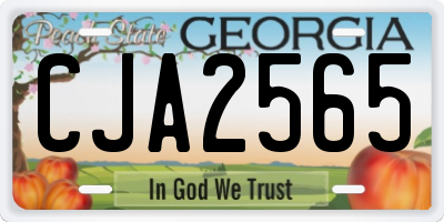 GA license plate CJA2565