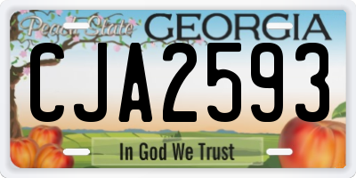 GA license plate CJA2593