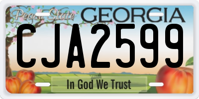 GA license plate CJA2599